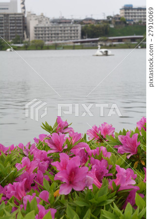 水戶/森巴湖 27910069