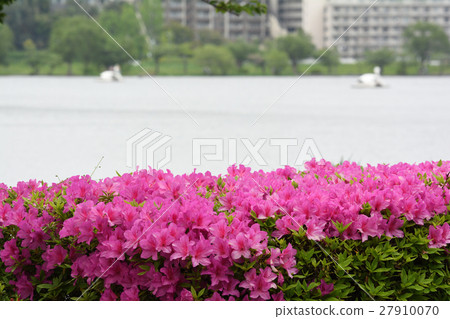 Mito / Senba Lake 27910070