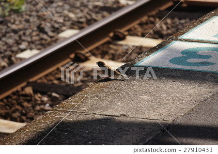 Kagoshima Central Station Conventional Line 27910431