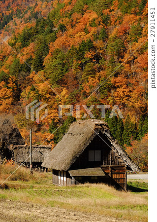 Shirakawa-go / Autumn (34) 27911451