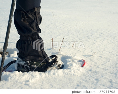 Man legs with snowshoes walk.Detail of winter hike 27911708