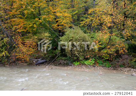 Landscape with mountain river and forest 27912041