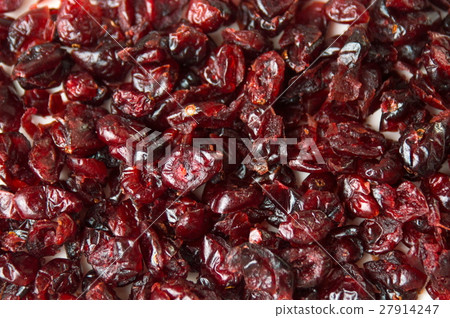 Dry cranberry background pattern 27914247