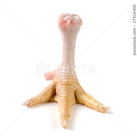 one chicken paw isolated on white background one chicken paw isolated on white background 27916400