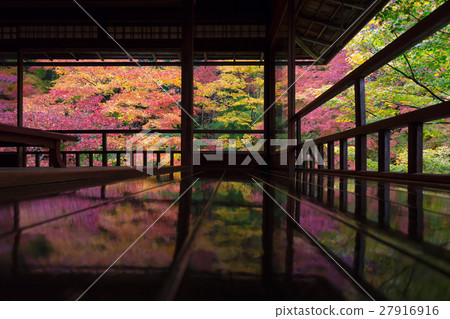 Authority Rurikoin 27916916