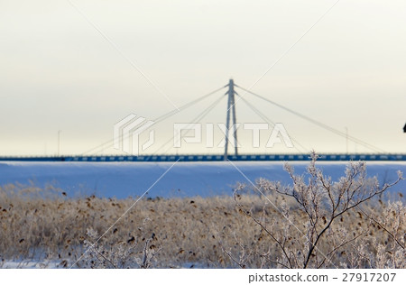 A tree A tree 27917207