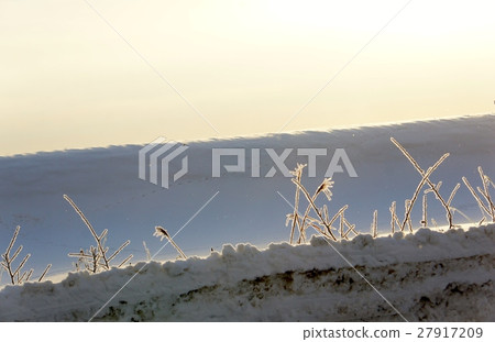 A tree A tree 27917209