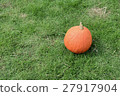 pumpkin on the green grass  27917904