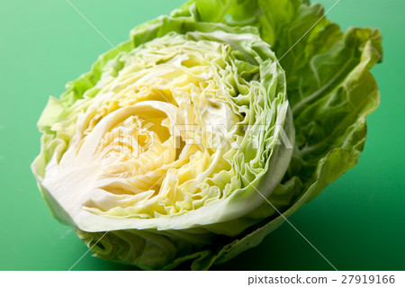 Cabbage section 27919166