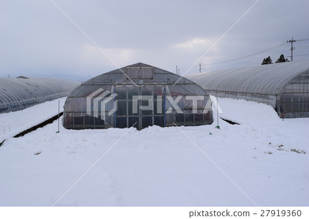雪的農業塑料房子 雪的農業塑料房子 27919360