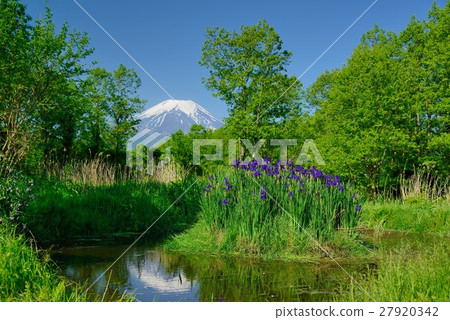 山梨縣，Iryo和富士山的忍野村的新鮮綠色 27920342