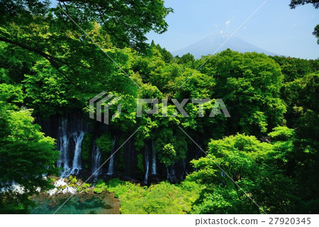 Shizenoka Fujinomiya Shiraito瀑布和富士山 27920345