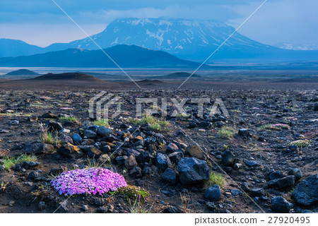 Leirhnjukur 27920495