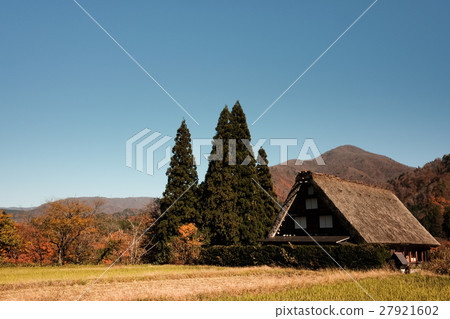 Shirakawa-go / Autumn (44) 27921602