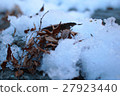 Snow and fallen leaves accumulated 27923440