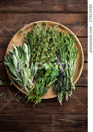 various fresh herbs, rosemary, thyme, mint, sage