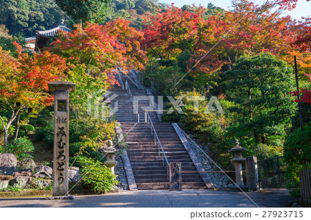 京都Mie Muroto寺廟秋葉 27923715