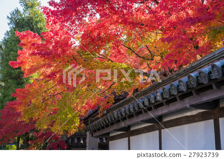 京都Nanzenji Tenunan秋葉 27923739