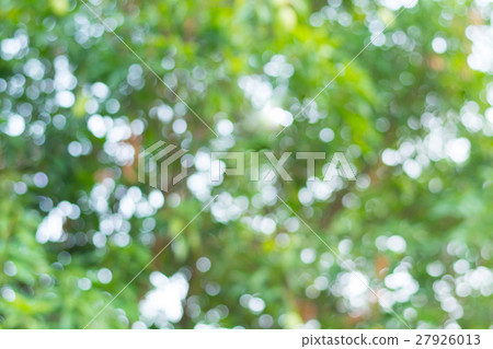 abstract green nature background, abstract green nature background, 27926013