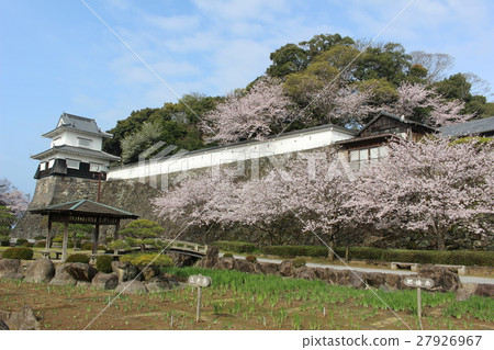 櫻花大村公園 27926967