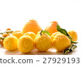 citrus 27929193