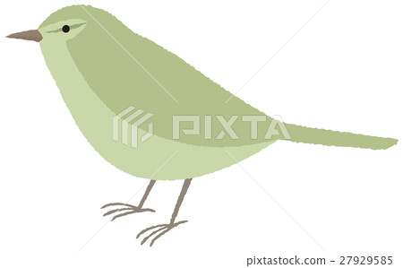 Yingge Uguis Bird 27929585