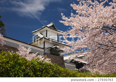 在金澤城公園的櫻花 27930763