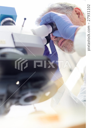 Senior scientist microscoping in lab. Senior scientist microscoping in lab. 27931102