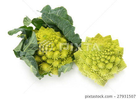 西蘭花羅馬內斯科 27931507