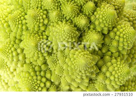Broccoli Romanesco 27931510