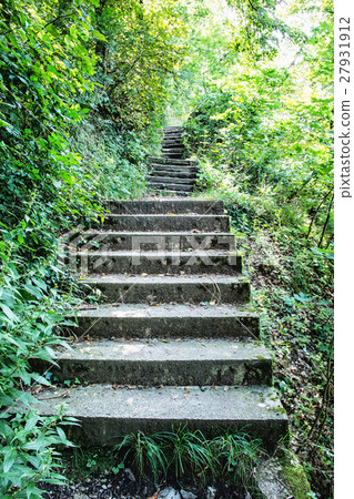 Stoned stairs on the tourist trail in forest 27931912