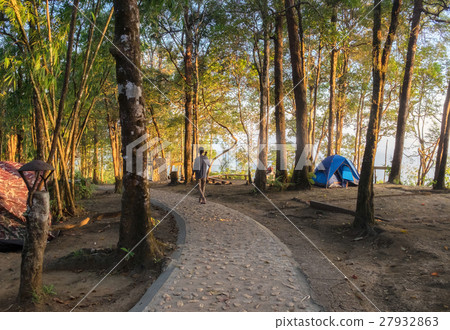 Tourists walking in rainforest national park Tourists walking in rainforest national park 27932863