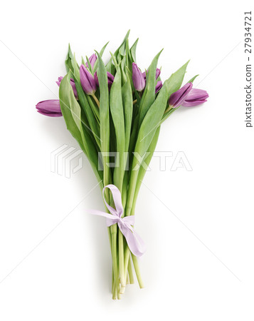 fresh purple tulips bouquet from above on white 27934721