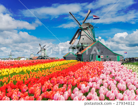 Dutch wind mills 27934812