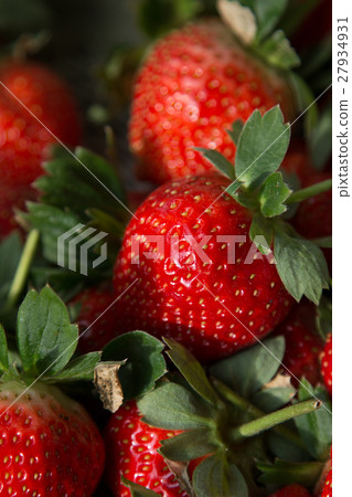 草莓 草莓 27934931