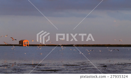 Old abandoned warehouse 27935324