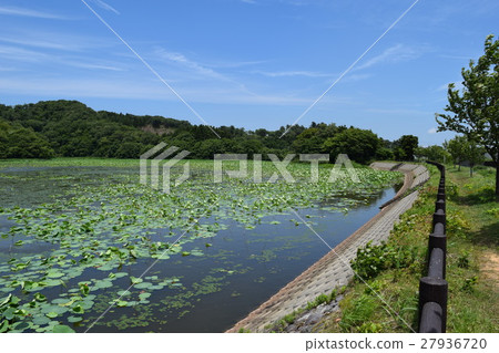 拉姆薩爾公約註冊區Oyama Koike / Osamayoshitakei Pond 27936720