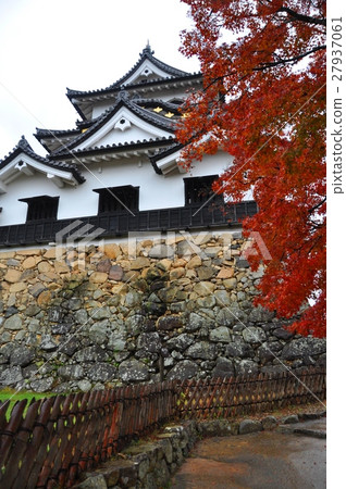 National Treasure Hikone Castle Tenson 27937061