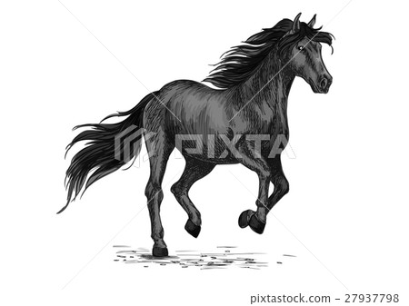 Sketched stallion gallop or horse abling 27937798