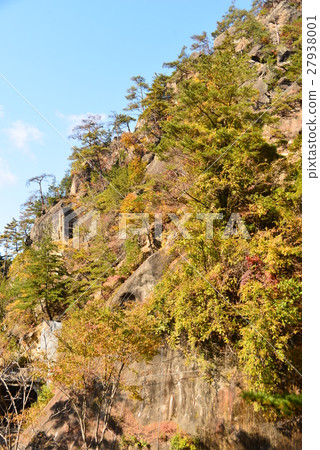 深秋的差異 27938001