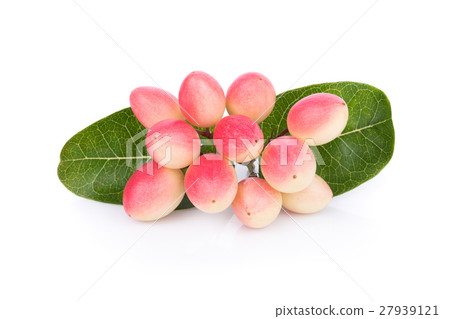 Carunda or Karonda on white background Carunda or Karonda on white background 27939121