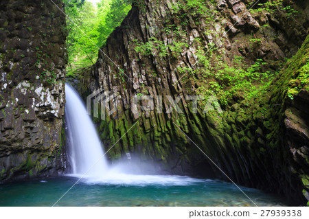 岐阜Kanaya秋天_新綠色 岐阜Kanaya秋天_新綠色 27939338