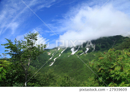 夏季立山黑部阿爾卑斯山脈 27939609