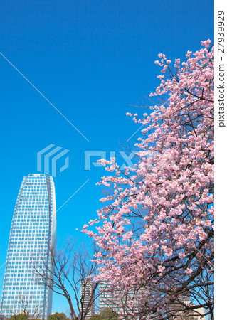 City spring City spring 27939929