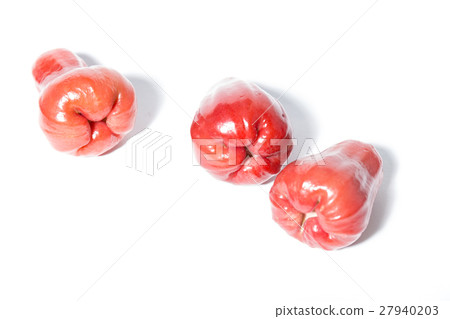 玫瑰蘋果 27940203