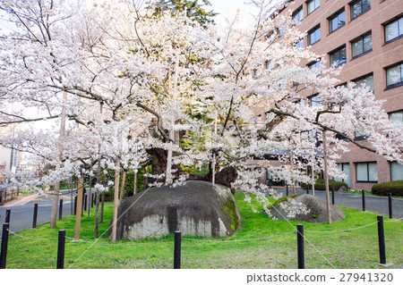 Ishikari Sakura Morioka地方法院 27941320