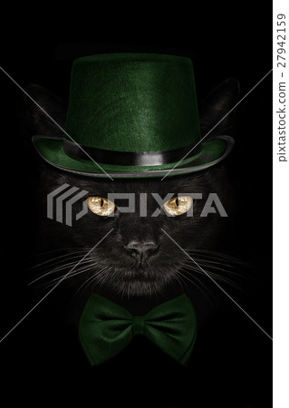 dark muzzle cat  in green hat and tie butterfly 27942159