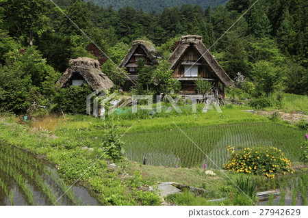初夏的世界遺產飛驒白川鄉 27942629