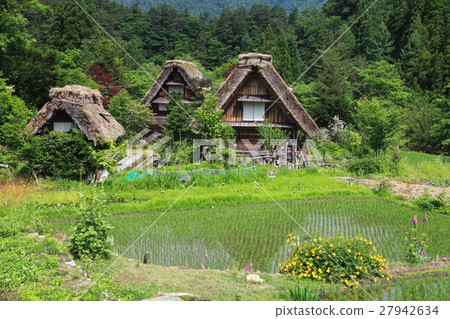 初夏的世界遺產飛驒白川鄉 27942634