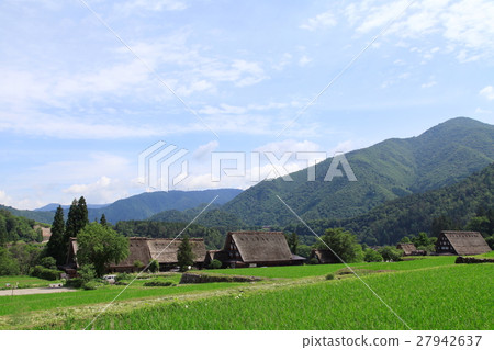 初夏的世界遺產飛驒白川鄉 27942637